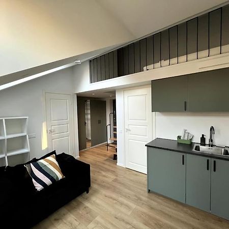 Ferienwohnung Brand-New Central Loft Wilna Exterior foto