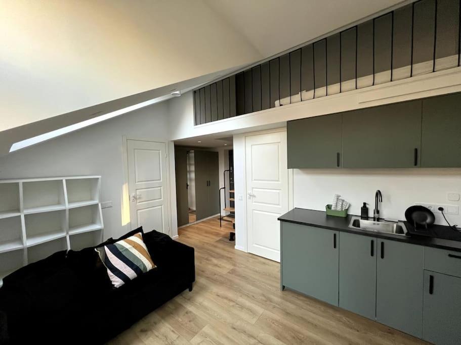 Ferienwohnung Brand-New Central Loft Wilna Exterior foto